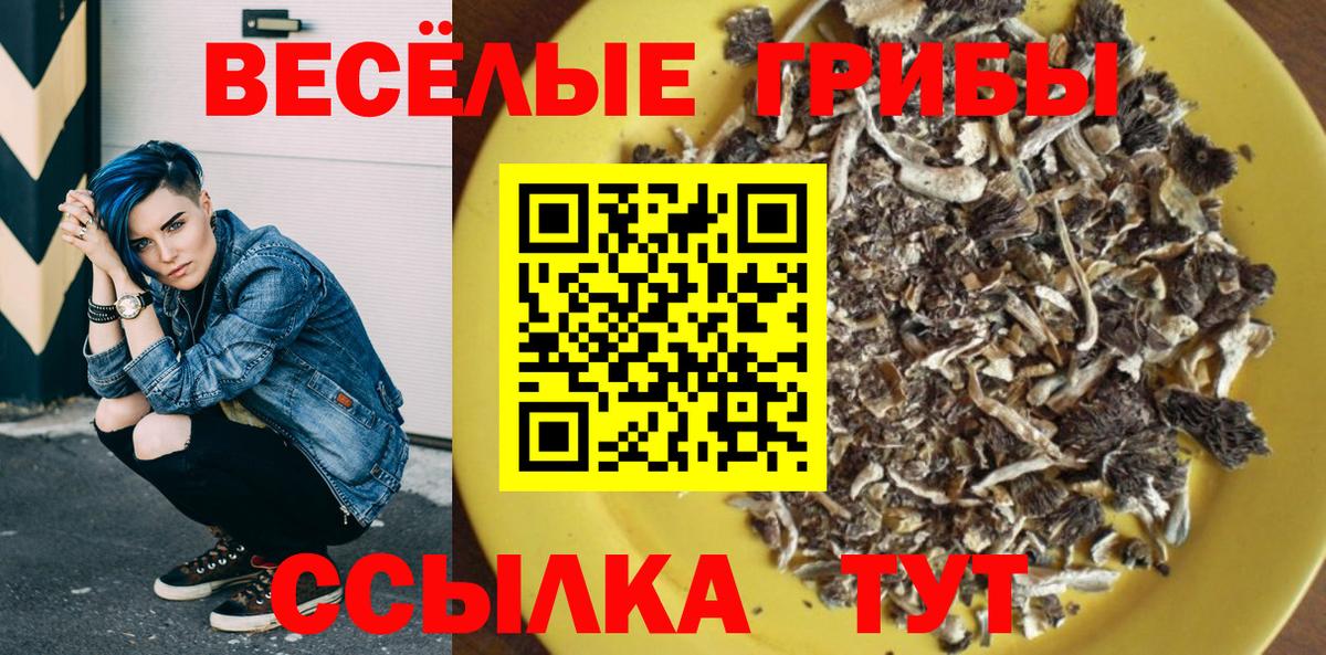 Галлюциногенные грибы Psilocybine cubensis Гулькевичи