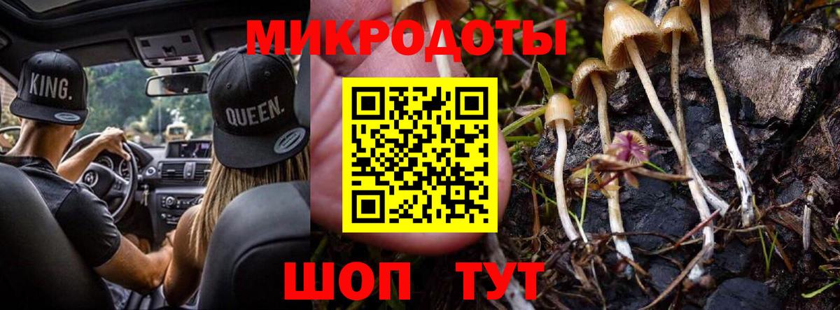 Гулькевичи  Галлюциногенные грибы Cubensis  Псилоцибиновые грибы мицелий  Вход с VPN 